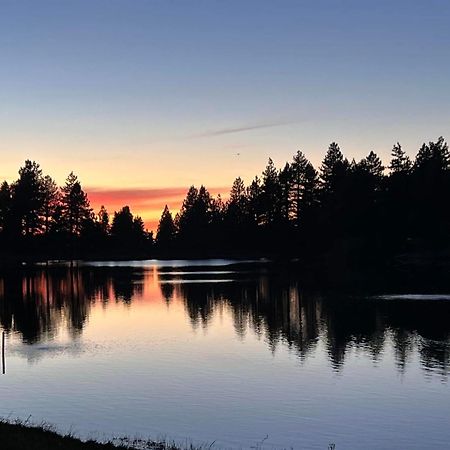 Snow Bunny Cottage, Pets Welcomed! Green Valley Lake Exteriör bild