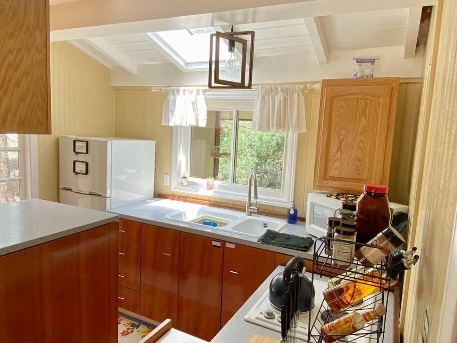 Snow Bunny Cottage, Pets Welcomed! Green Valley Lake Exteriör bild