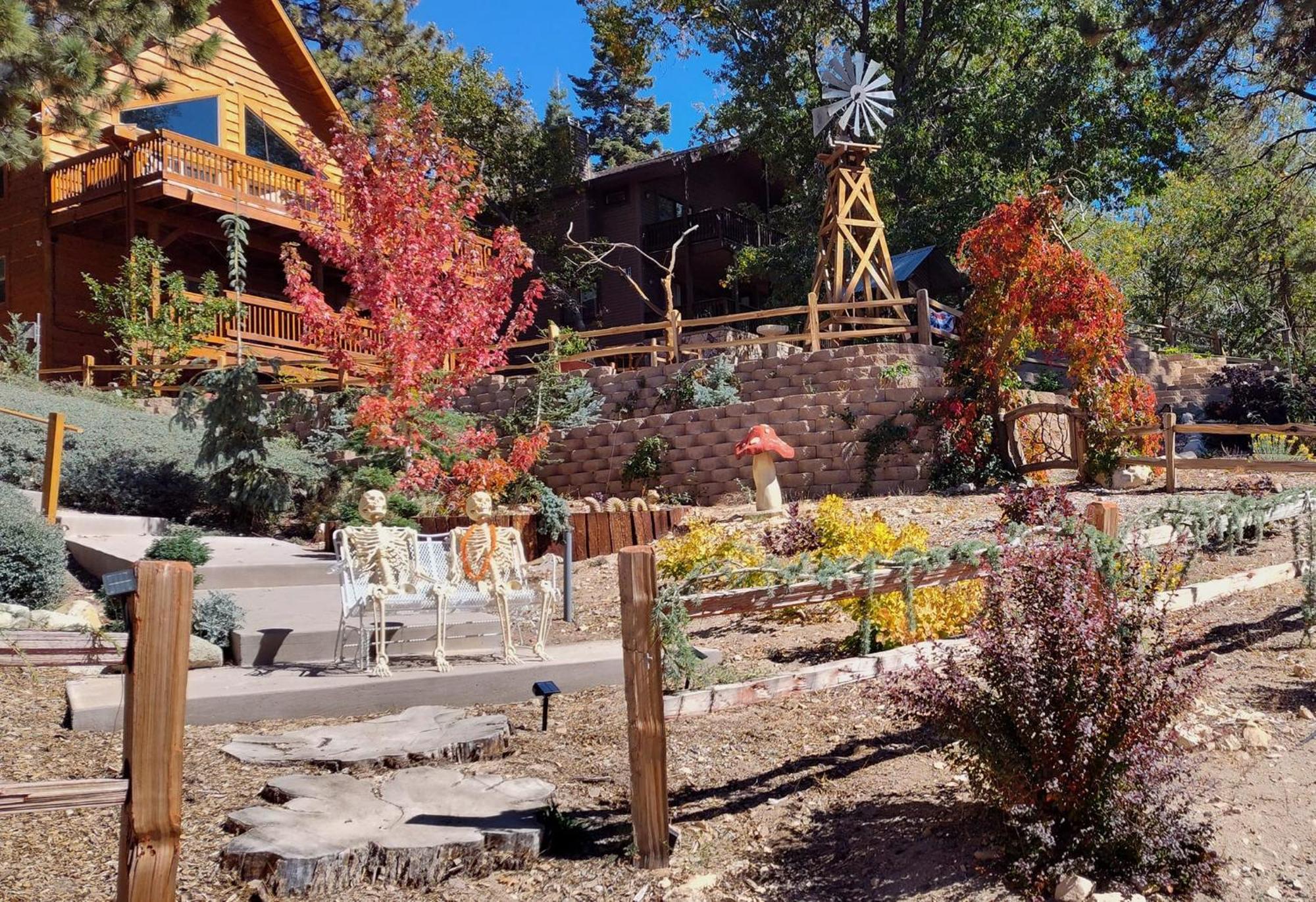 Snow Bunny Cottage, Pets Welcomed! Green Valley Lake Exteriör bild