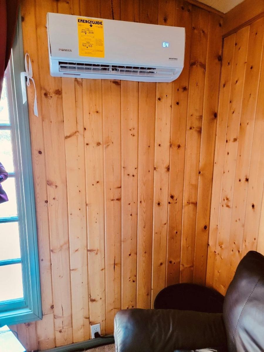 Snow Bunny Cottage, Pets Welcomed! Green Valley Lake Exteriör bild