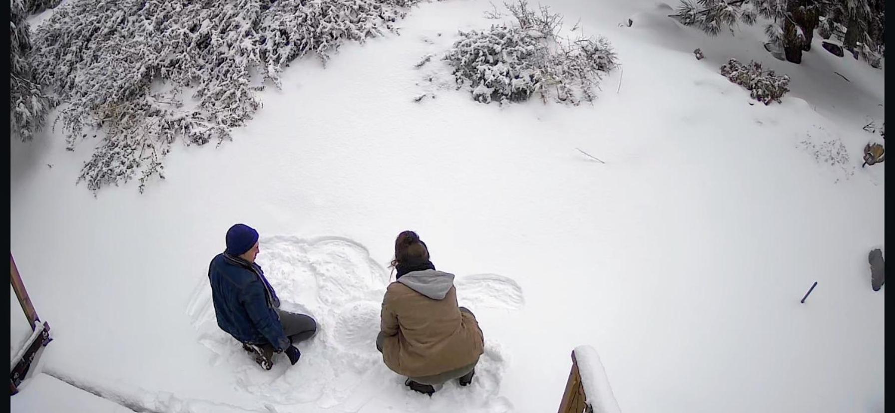 Snow Bunny Cottage, Pets Welcomed! Green Valley Lake Exteriör bild