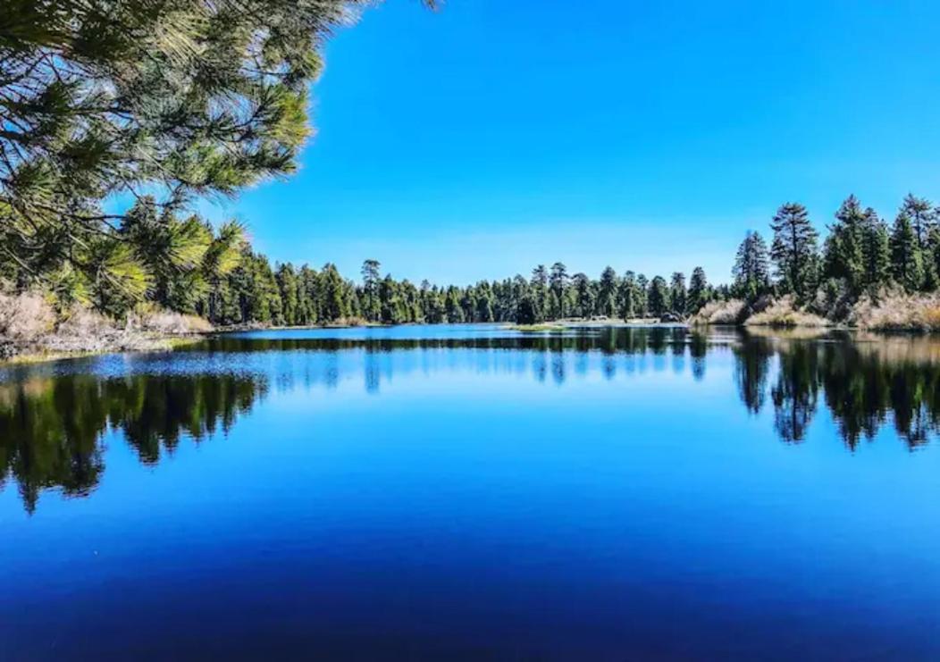 Snow Bunny Cottage, Pets Welcomed! Green Valley Lake Exteriör bild