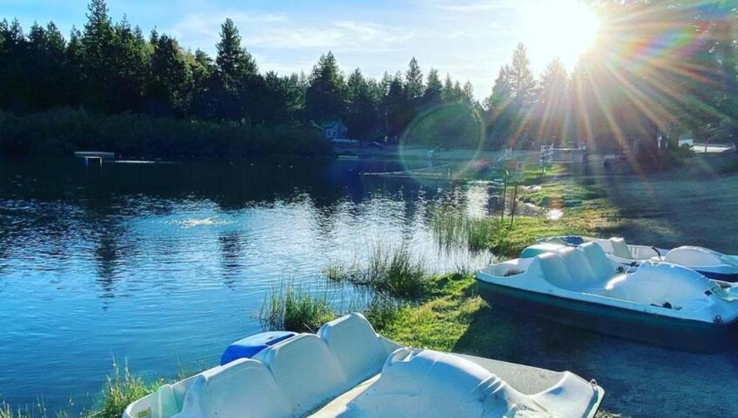 Snow Bunny Cottage, Pets Welcomed! Green Valley Lake Exteriör bild