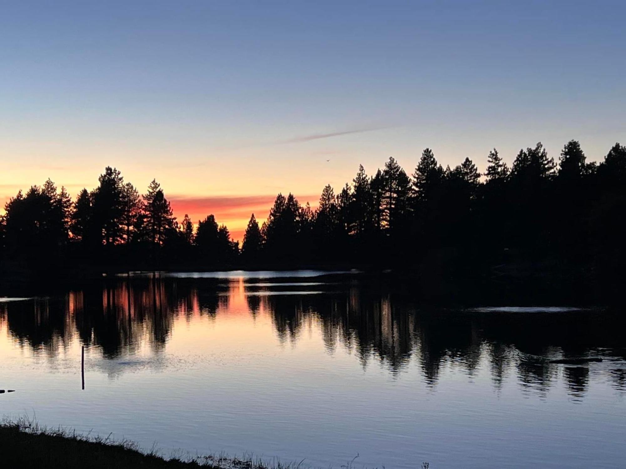 Snow Bunny Cottage, Pets Welcomed! Green Valley Lake Exteriör bild